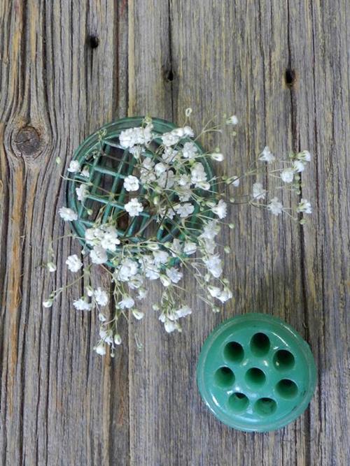 Snowball  White Gypsophila